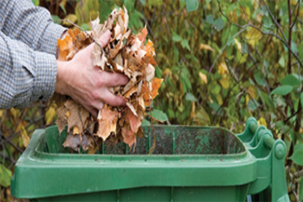 Professional Green Waste Removal