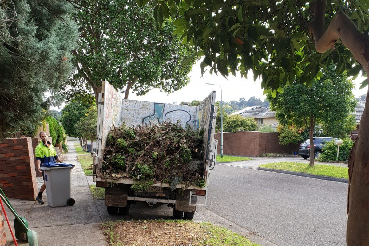 Green Waste Removal