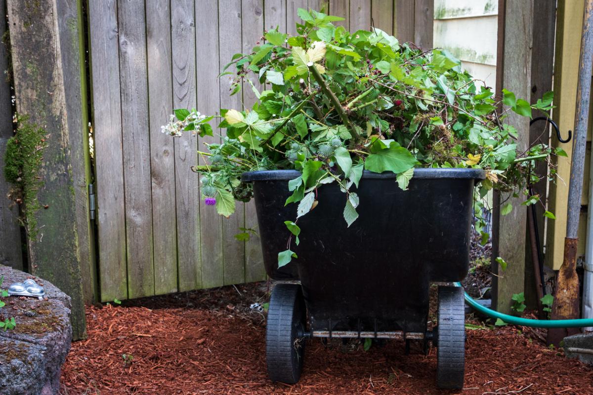 Professional Green Waste Removal