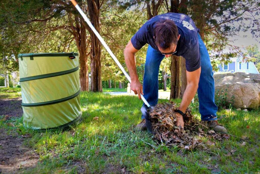 Professional Green Waste Removal