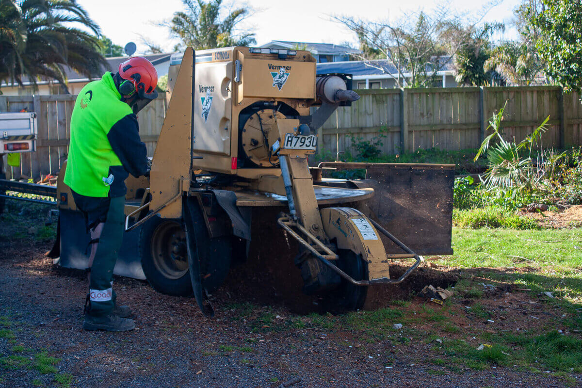 Sydney Stump Grinding: Restore Your Outdoor Space Today