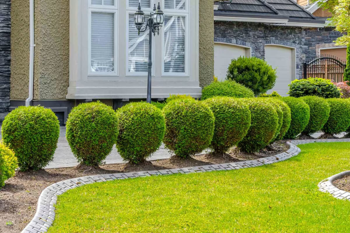 Why Regular Hedge Pruning Services Near Me Are Essential