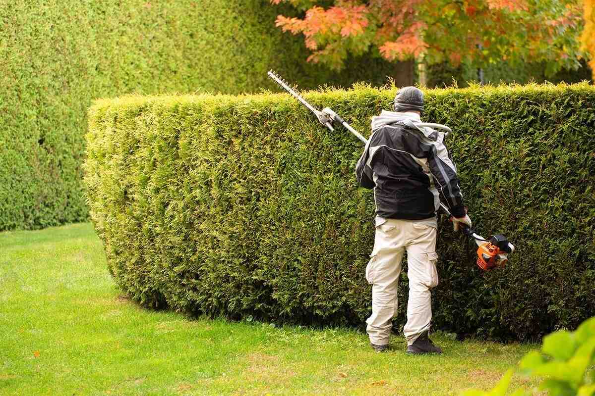 Seasonal Maintenance Checklist Including Hedge Cutting Near Me