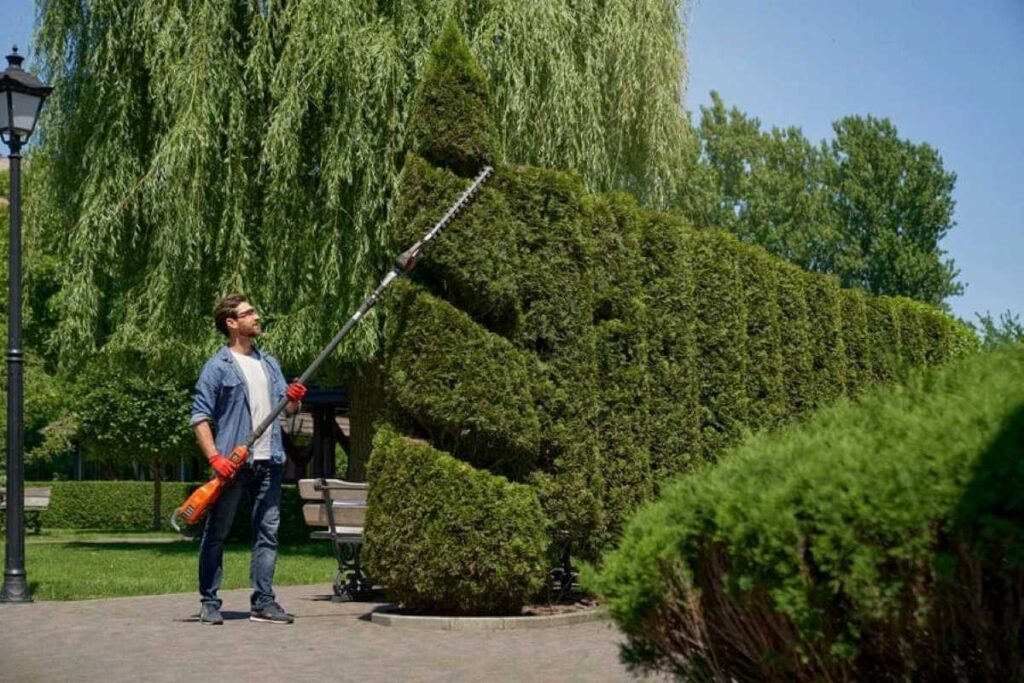 hedge cutting